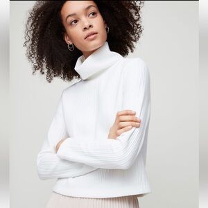 Aritzia Caleb Turtleneck